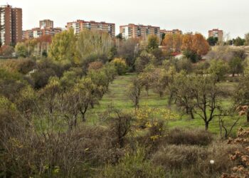 Entidades de Hortaleza entregarán más de 6.000 firmas para proteger Huerta de Mena, la centenaria finca de Los Almendros