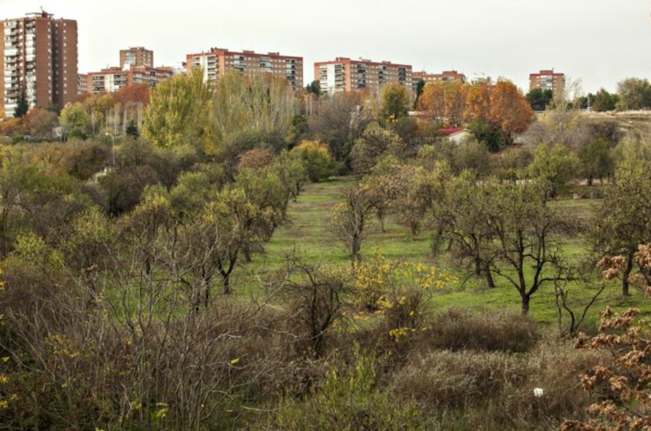 Entidades de Hortaleza entregarán más de 6.000 firmas para proteger Huerta de Mena, la centenaria finca de Los Almendros