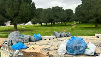 Vecinas y vecinos de Bellavista recogen gran cantidad de basura en los terrenos de Cortijo de Cuarto