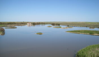 Alianza Verde lleva al Congreso el ‘atentado ecológico’ que se prevé en las Lagunas de Villafáfila