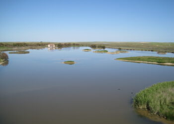 Alianza Verde lleva al Congreso el ‘atentado ecológico’ que se prevé en las Lagunas de Villafáfila