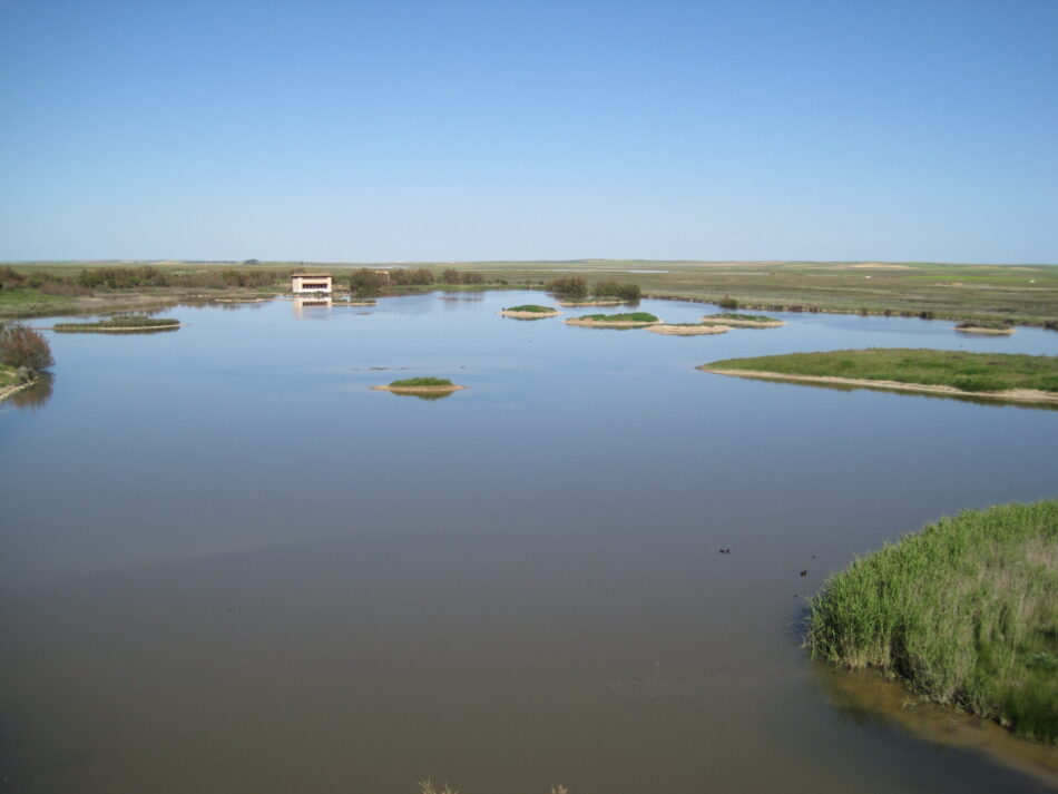 Alianza Verde lleva al Congreso el ‘atentado ecológico’ que se prevé en las Lagunas de Villafáfila