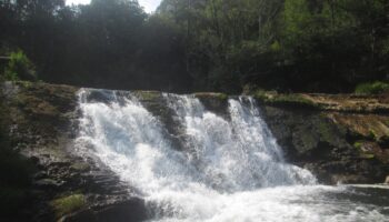 Exigen a la Confederación Hidrográfica que proceda sin demora a la demolición del azud de Pé de Viña en el río Eo (Asturias)