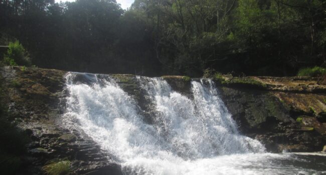 Exigen a la Confederación Hidrográfica que proceda sin demora a la demolición del azud de Pé de Viña en el río Eo (Asturias)