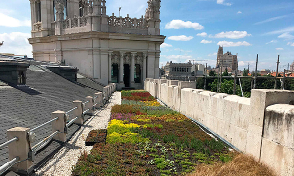 Ecologistas en Acción Madrid muestra su rechazo total al Plan Especial de Cubiertas Verdes del Ayuntamiento de Madrid