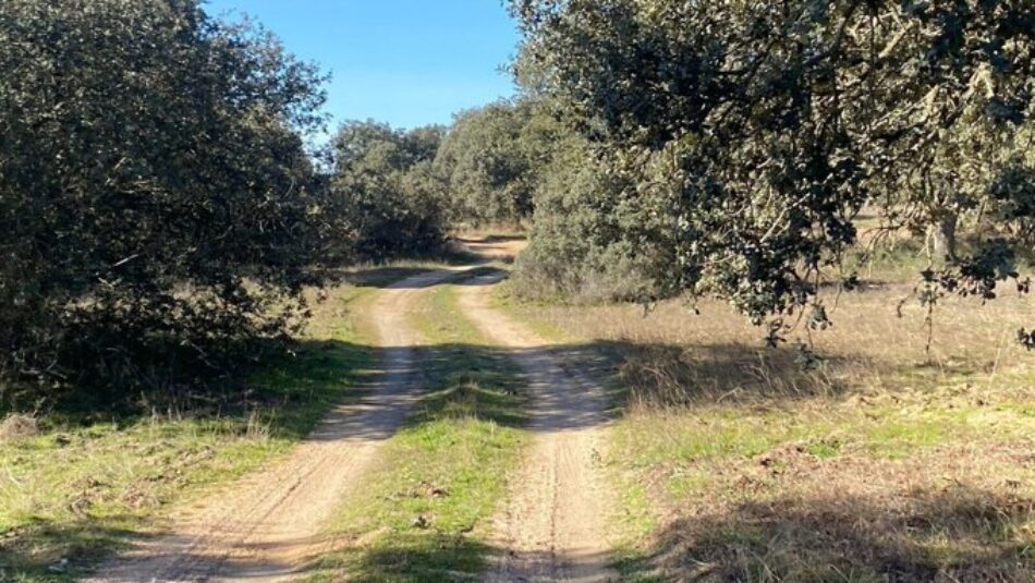 Convocan a movilizarse el 5 y 6 de abril de 2025 por los caminos y vías pecuarias de los municipios y comarcas de Extremadura