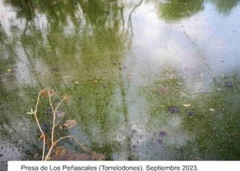 Plataforma Ecologista Madrileña: «La presa de Peñascales es una carga económica injustificada para los vecinos de Torrelodones»