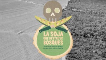 Ecologistas en Acción presenta el informe ‘La soja que destruye bosques’