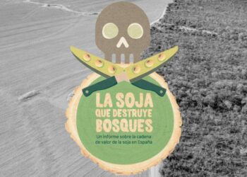 Ecologistas en Acción presenta el informe ‘La soja que destruye bosques’