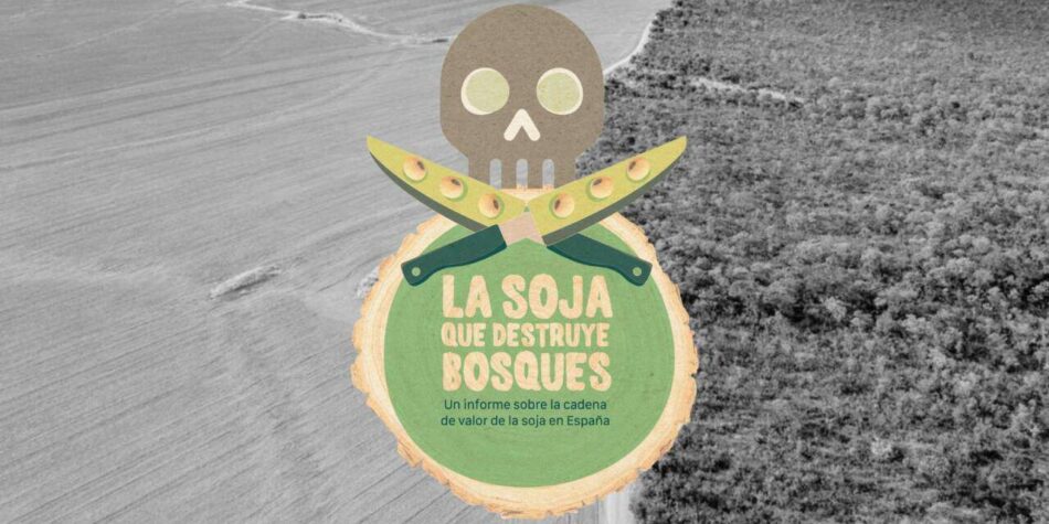 Ecologistas en Acción presenta el informe ‘La soja que destruye bosques’