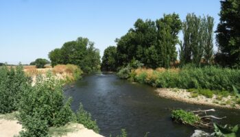 Alerta ante los posibles impactos ambientales generados por el proyecto de recuperación del río Manzanares en Getafe