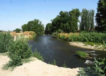 Alerta ante los posibles impactos ambientales generados por el proyecto de recuperación del río Manzanares en Getafe