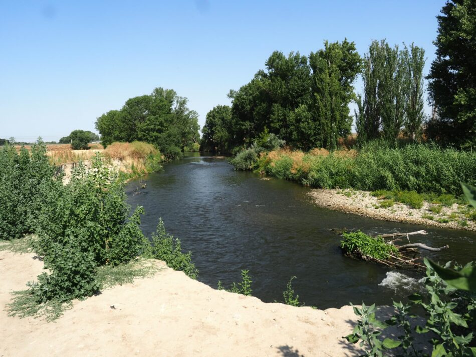 Alerta ante los posibles impactos ambientales generados por el proyecto de recuperación del río Manzanares en Getafe