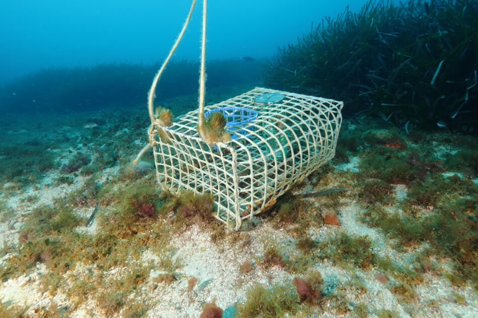 Dos ONGs llevan al Gobierno francés ante los tribunales para detener la pesca destructiva en áreas marinas protegidas