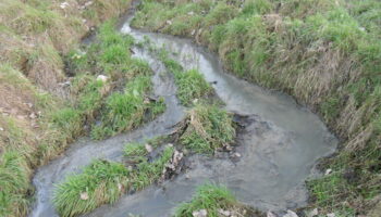 Ecologistas califican el PGOU de Las Rozas (Madrid) como destrucción masiva y atentado ambiental