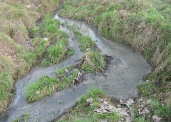 Ecologistas califican el PGOU de Las Rozas (Madrid) como destrucción masiva y atentado ambiental