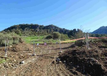 Ecologistas en Acción denuncia la construcción de un polígono industrial ilegal en el parque natural Sierra de Grazalema ven Cádiz