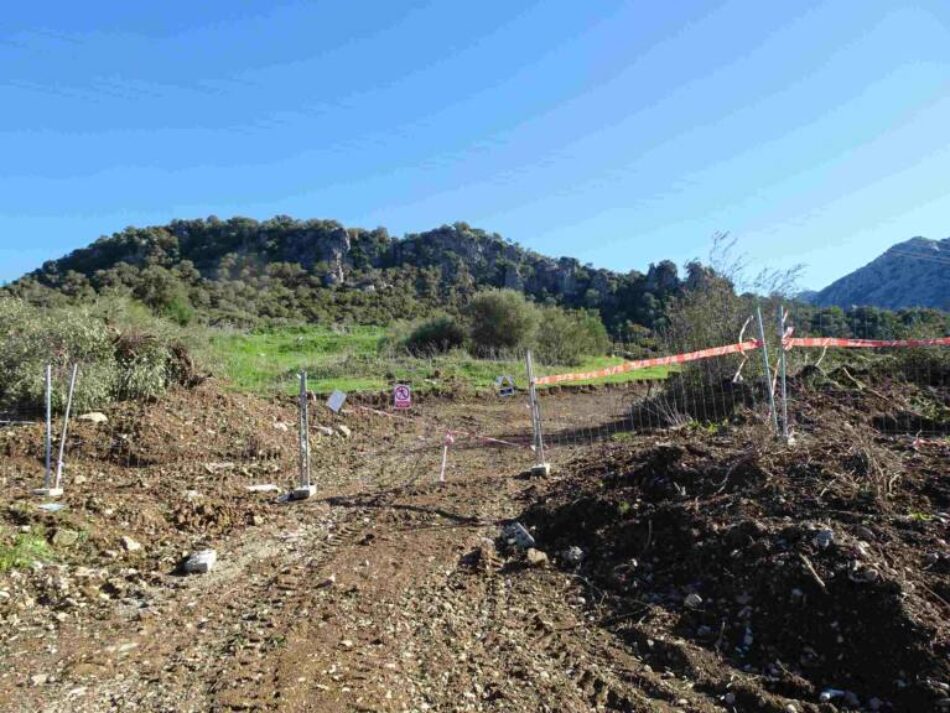 Ecologistas en Acción denuncia la construcción de un polígono industrial ilegal en el parque natural Sierra de Grazalema ven Cádiz