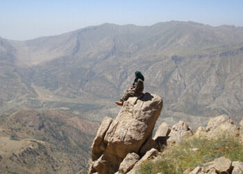 HPG denuncia que Turquía sigue atacando zonas de guerrilla pese al anuncio del PKK del alto al fuego