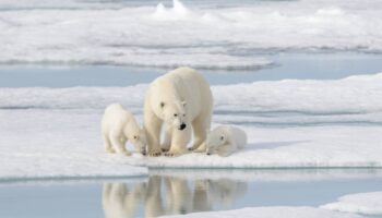 El deshielo del Ártico favorece un clima más seco en California y más húmedo en España y Portugal