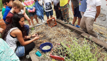 Nace «Enredándonos»: hacia una red estatal para fortalecer la agroecología y la cultura alimentaria en las escuelas