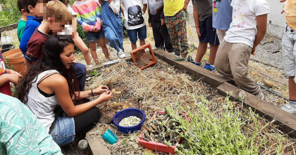 Nace «Enredándonos»: hacia una red estatal para fortalecer la agroecología y la cultura alimentaria en las escuelas