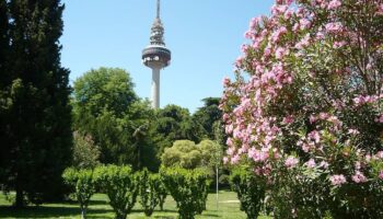 Los Planes Directores del Ayuntamiento para los Parques de la Quinta de Fuente del Berro, Juan Pablo II y Jardines del Buen Retiro llegan plagados de incertidumbre y problemas sin resolver