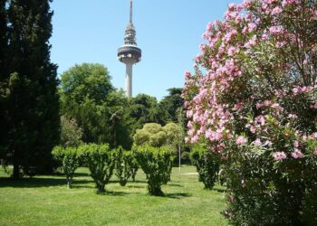 Los Planes Directores del Ayuntamiento para los Parques de la Quinta de Fuente del Berro, Juan Pablo II y Jardines del Buen Retiro llegan plagados de incertidumbre y problemas sin resolver