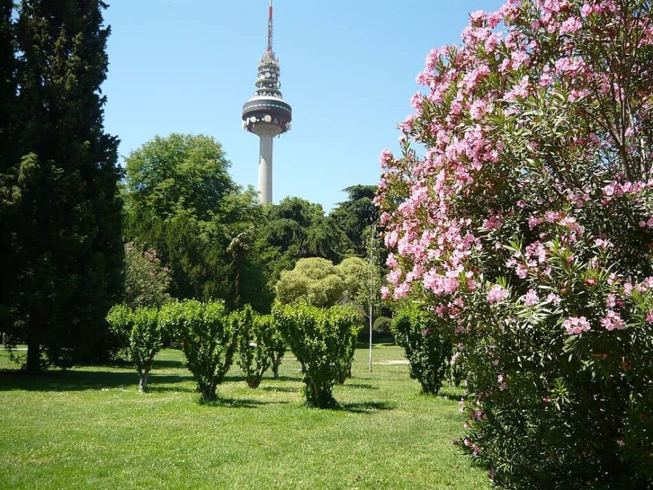 Los Planes Directores del Ayuntamiento para los Parques de la Quinta de Fuente del Berro, Juan Pablo II y Jardines del Buen Retiro llegan plagados de incertidumbre y problemas sin resolver