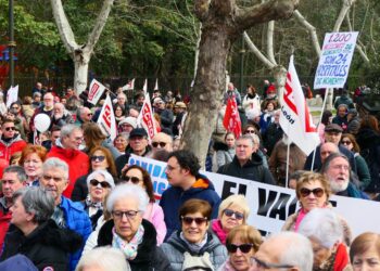 Masiva movilización en Valladolid por la sanidad pública en Castilla y León