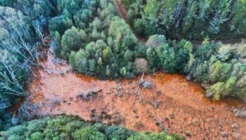 Amigas de la Tierra, Ecologistas en Acción y SEO/BirdLife rechazan los proyectos mineros estratégicos aprobados por la UE