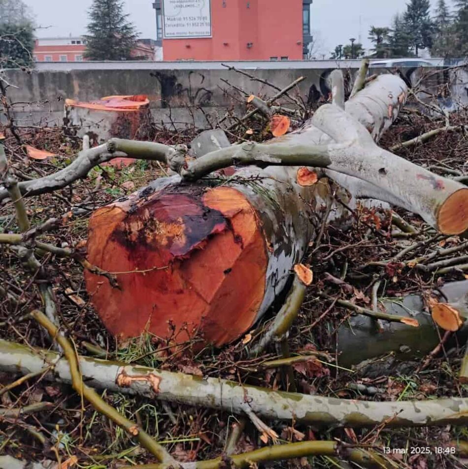 El caro peaje ambiental, económico y de salud del soterramiento de la A5