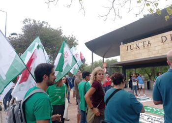 USTEA alerta de los riesgos en la salud del profesorado por falta de medios de atención al alumnado con necesidades específicas