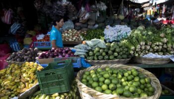 Nicaragua consolida seguridad alimentaria