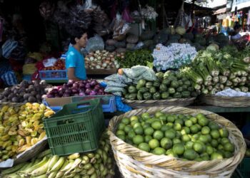 Nicaragua consolida seguridad alimentaria