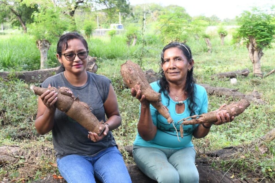 Nicaragua: Lanzan programa de educación técnica en el campo