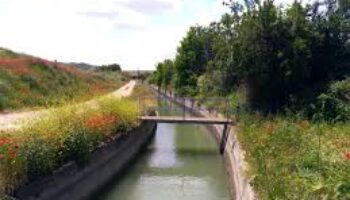 La Comunidad de Regantes del Canal de las Aves busca hacer negocio con la venta de agua del río Tajo