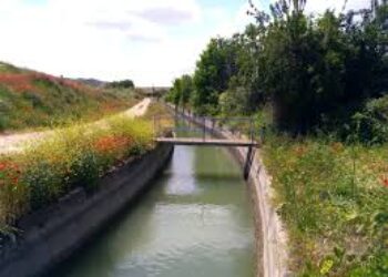 La Comunidad de Regantes del Canal de las Aves busca hacer negocio con la venta de agua del río Tajo