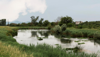 La Mesa Social del Agua de Andalucía critica los mecanismos de participación de la Junta en materia de agua y medio ambiente