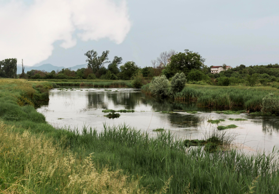 La Mesa Social del Agua de Andalucía critica los mecanismos de participación de la Junta en materia de agua y medio ambiente